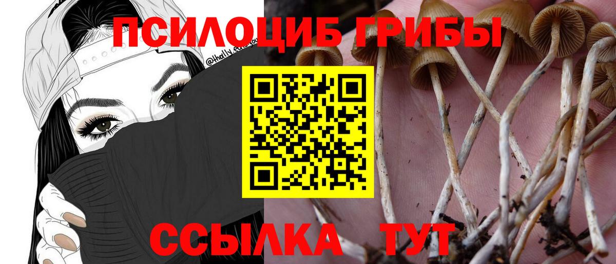 Галлюциногенные грибы мицелий  Вход с VPN  Пыть-Ях 